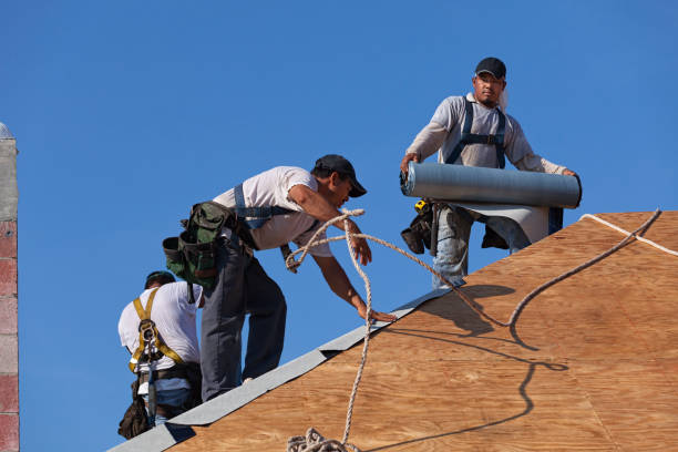 Best Best Roofing Contractors  in Hollywood Park, TX