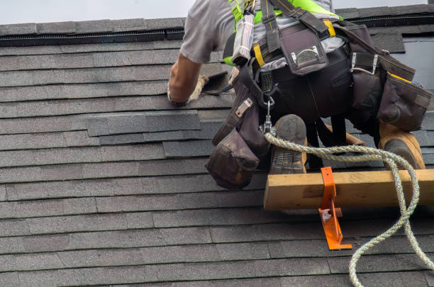 Best Commercial Roofing Services  in Hollywood Park, TX