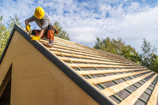 Best Roof Gutter Cleaning  in Hollywood Park, TX