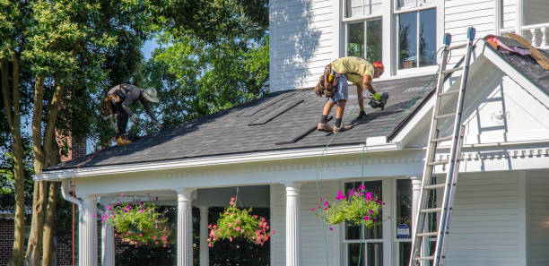 Professional Roofing Contractor in Hollywood Park, TX