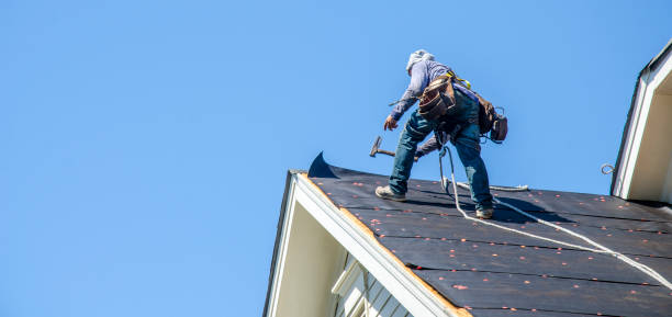 Best Metal Roofing Contractor  in Hollywood Park, TX